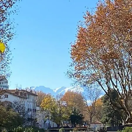Les Jardins Du Palais Apartment Perpignan